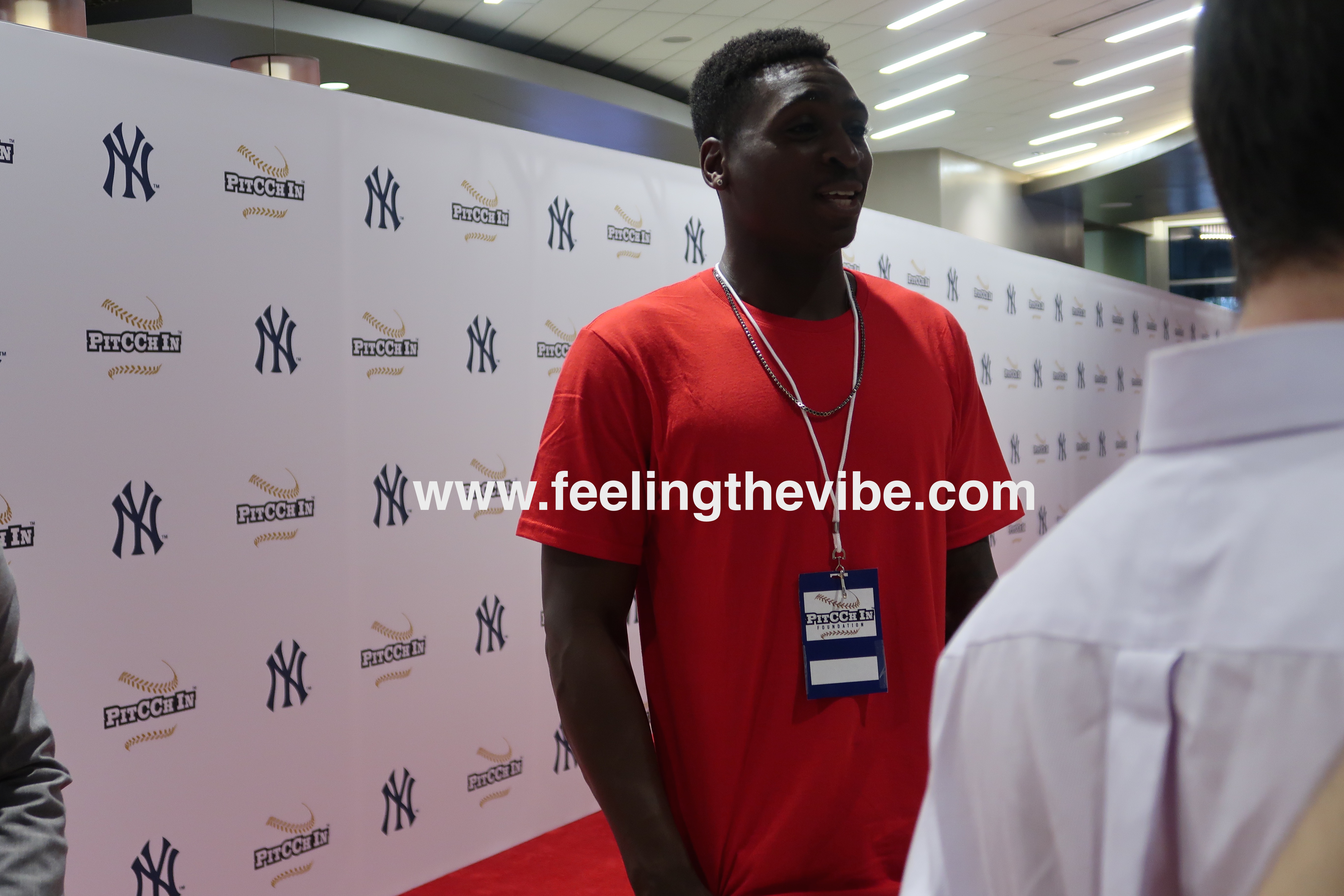 Didi Gregorius from the Yankees